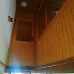 Paphegy *